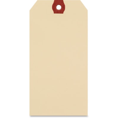 MERANGUE INTERNATIONAL 1024-5051-00-000 100PK SHIPPING TAGS, 5-1/4""X2-