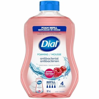 DAVIS GROUP 2933295 DIAL PWR BERRIES HNDSOAP 887ML